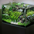 12 Pack New Upgrade Aquarium Plant Weights, Aquatic Plants Fixed Ring Set - Image 5