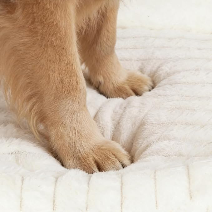 Orthopedic Dog Bed for Small Medium Dogs & Cats - Image 8