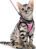 rabbitgoo Cat Harness and Leash Set by rabbitgoo