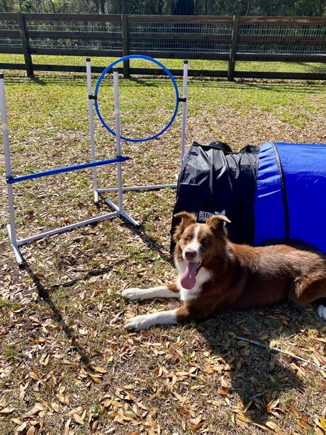 Better Sporting Dogs Agility Course Backyard Set - Image 9
