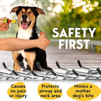 PetJett Prong Collar for Dogs - Image 3