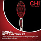 CHI Dog Brush for, Porcupine Brush - Image 2