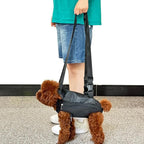 Pet Dog Carrier Backpack, Portable Breathable Mesh Chest Carrier, Polyester - Image 8