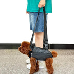 Pet Dog Carrier Backpack, Portable Breathable Mesh Chest Carrier, Polyester - Image 8