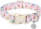DOGWONG Easter Rabbit Dog Collar, Colorful Egg Dog Collar Soft Durable by DOGWONG