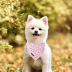 Halloween Pumpkin Dog Bandana, Halloween Triangle Bid Scarf - Image 4