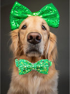 Lionheart glory Dog Bow Collar St. Patrick's Day Dog Collar - Image 5