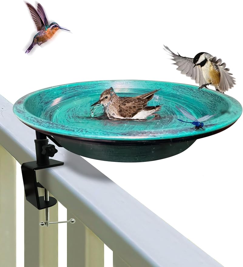 Deck Mounted Bird Bath for Outside, Detachable Birdbath Bowl by TIANCENTRALH
