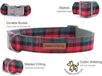 Elegant little tail Dog Collar - Image 3