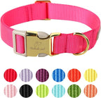 Nylon Dog Collar by Babolepet