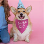 Pretty Girl Dog Bandana Funny Birthday Dog Bandana - Image 6
