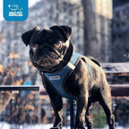 Best Pet Supplies Voyager Step-in Air Harness - Image 9