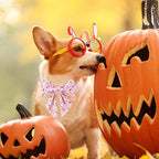 Halloween Dog Collar with Flower, Fancy Halloween Dog Collar Bowtie Gift - Image 5