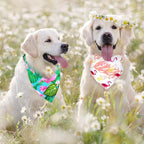 Frienda 20 Pcs Summer Spring Dog Bandanas Hawaiian Style Washable Triangle Pet - Image 6