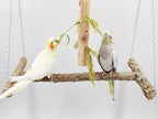 Large Bird Perch Swing Toy, Natural Pepper Wood Parrot Perch Stand Toy - Image 4