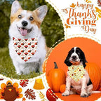 Thanksgiving Dog Bandana 2 Pack, All 4 Patterns Pumpkin Turkey Dog Scarf - Image 2