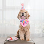 ADOGGYGO Dog Birthday Party Supplies - Image 2
