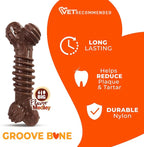 Nylabone Textured Dental Bone Power Chew Toy - Image 4