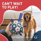 QDAN Large Dog Toys, 8 Inch Durable Balls - Image 9