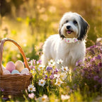 Easter Dog Collar for Medium Dogs - Image 5