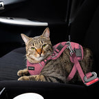 Cat Harness, Cat Harness and Leash - Image 4