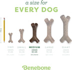 Benebone Maplestick Real Wood Durable Dog Chew Toy, Made in USA - Image 4