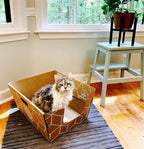Tallest Disposable Cat Litter Box 15 Trays 2 Trays Litter Box Low Entry - Image 2