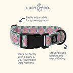 Lucy & Co. Dog Collar - Image 3