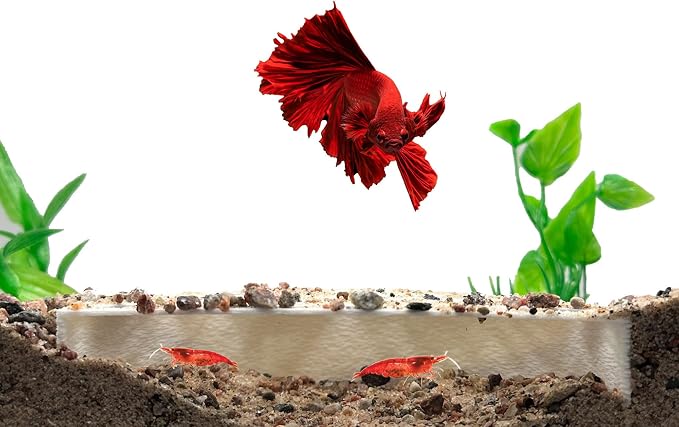 Shrimp Breeding Protector | Shrimp Breeding Cave Aquarium Tunnel | CTWPets by CTWPets