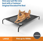 Coolaroo Original Elevated Dog Bed - Image 2