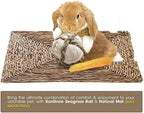SunGrow Assorted Rabbit & Cat Chew Balls, Teething Activity Toy - Image 6