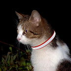 KUDES 3 PCS Breakaway Cat Leather Collars, Reflective Safety Buckle Kitten - Image 3