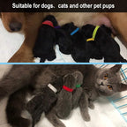 30 Pcs Puppy ID Collar Whelping Newborn Pet Collars Double-Sided Soft - Image 6