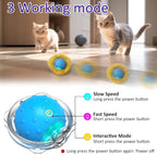 Interactive Cat Toys Ball Fast Rolling in Pouch, Motion Activate Chirping Cat - Image 3
