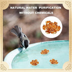 4 Pcs Mini Peony Shape Copper Bath Disk Ornaments Brass Bird Bath Purification - Image 3