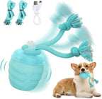 Interactive Dog Toy, Motion Activated Rolling Squeaky Ball by Huimpet