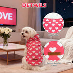 EXPAWLORER Cat Valentines Outfit Sweater - Image 2