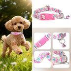 XS Dog Collar with Bell - Image 3