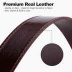 Plutus Pet Genuine Leather Dog Collar – Adjustable Pet Collar - Image 4