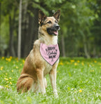 L21 Happy Birthday Mom Dog Bandana - Image 4
