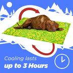 Coleman Small Green Botanical Pattern Reversible Cooling Mat – 18” x 24” - Image 4