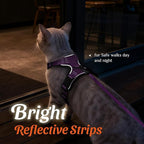 Dooradar Cat Harness and Leash Set, Escape Proof Safe Adjustable Kitten Vest - Image 5