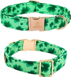 Lionheart glory Clover Dog Collar, Adjustable Dog Collar - Image 4
