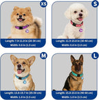Reflective Dog Collar for Small Dogs - Image 7