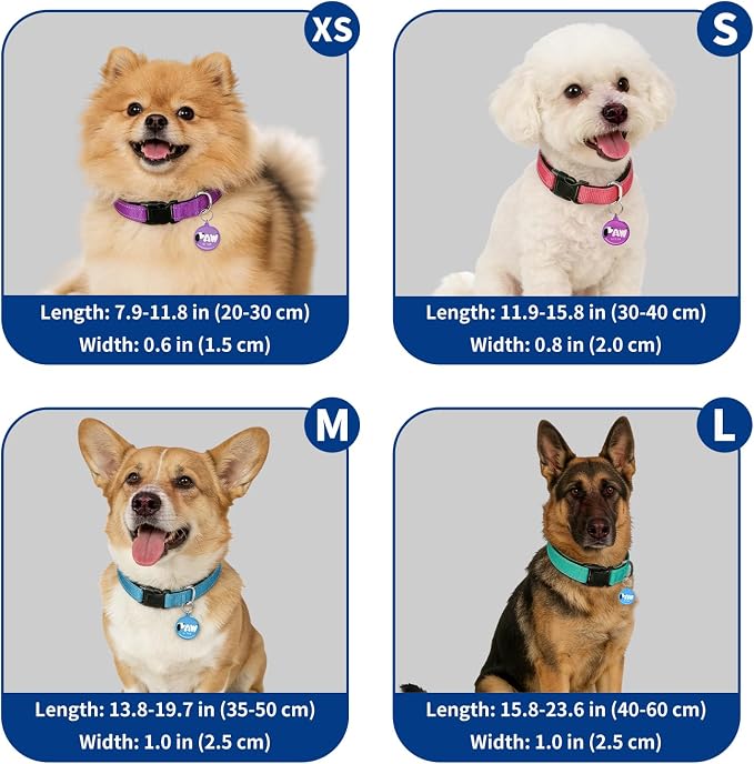 Reflective Dog Collar for Small Dogs - Image 7