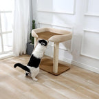 SHENGOCASE Modern Cat Tree Tower, Extra Large Platform Couch Sofa Bed - Image 8