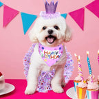 Dog Birthday Bandana with Hat and Dress Girl Set, Dog Birthday Hat Bandana Girl - Image 4