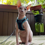 Best Pet Supplies - Image 8