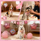 Dog & Cat Birthday Party Decorations Set Include Bandana, Adjustable Hat - Image 3