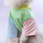 Custom Dog Birthday Shirt, Personalized Pet Apparel Print - Image 3